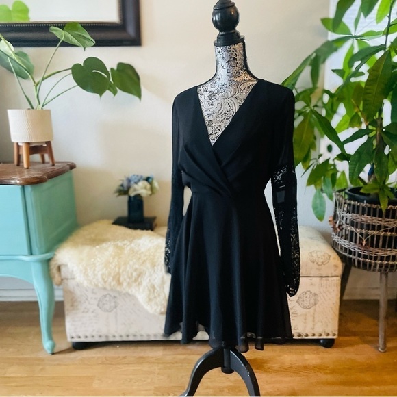 BCBGeneration Flirty Lace & Chiffon Mini Dress, Size 6 - Picture 7 of 9